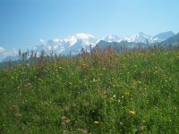 Montée à la Girotte